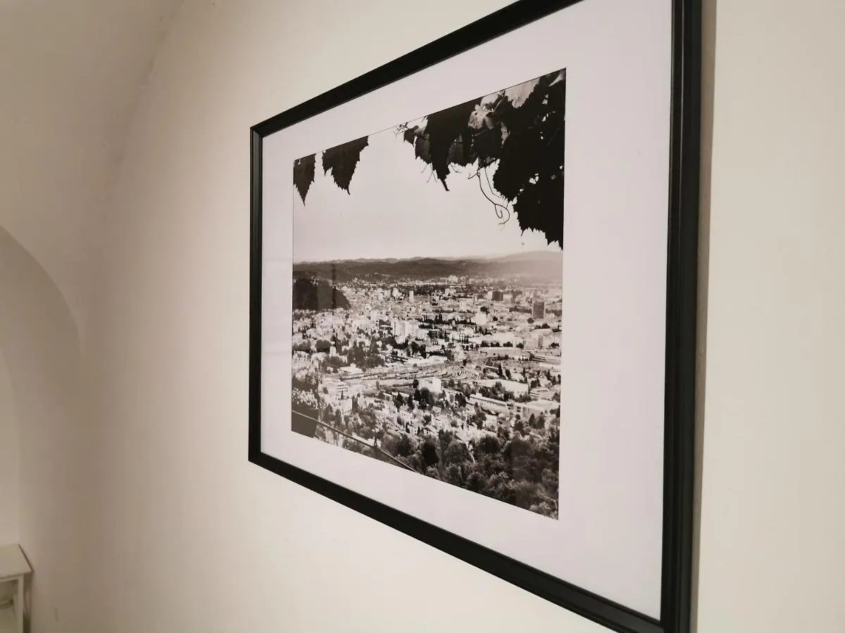 Zentrale, Ruhige Wohnung Nahe Murinsel & Kunsthaus Graz Austria